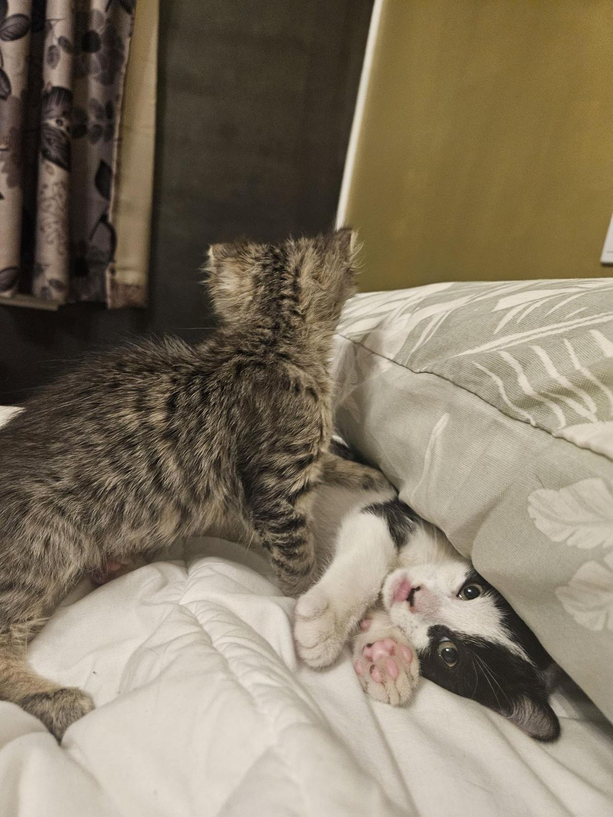 Gallery image: Bessie