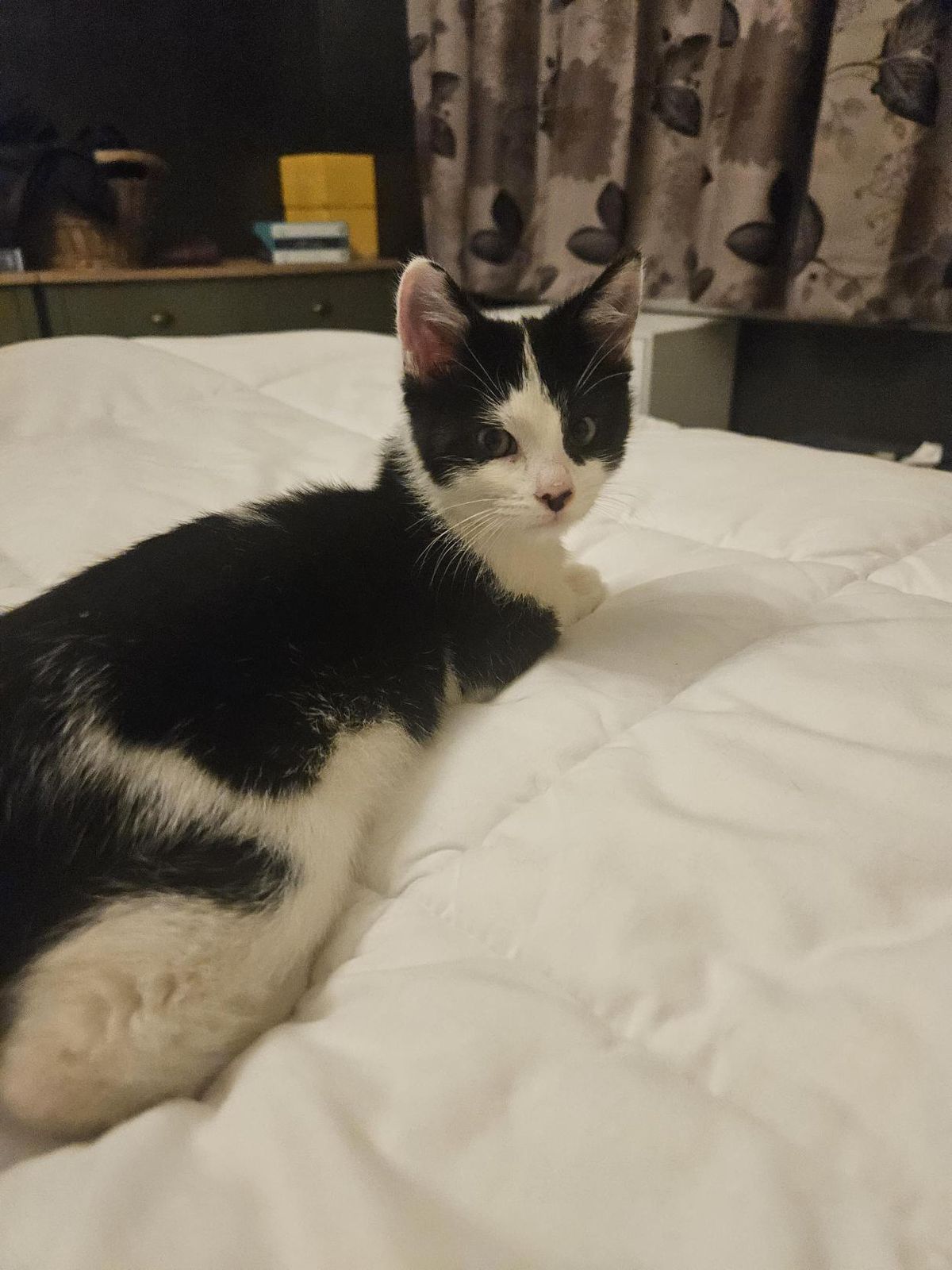 Gallery image: Bessie