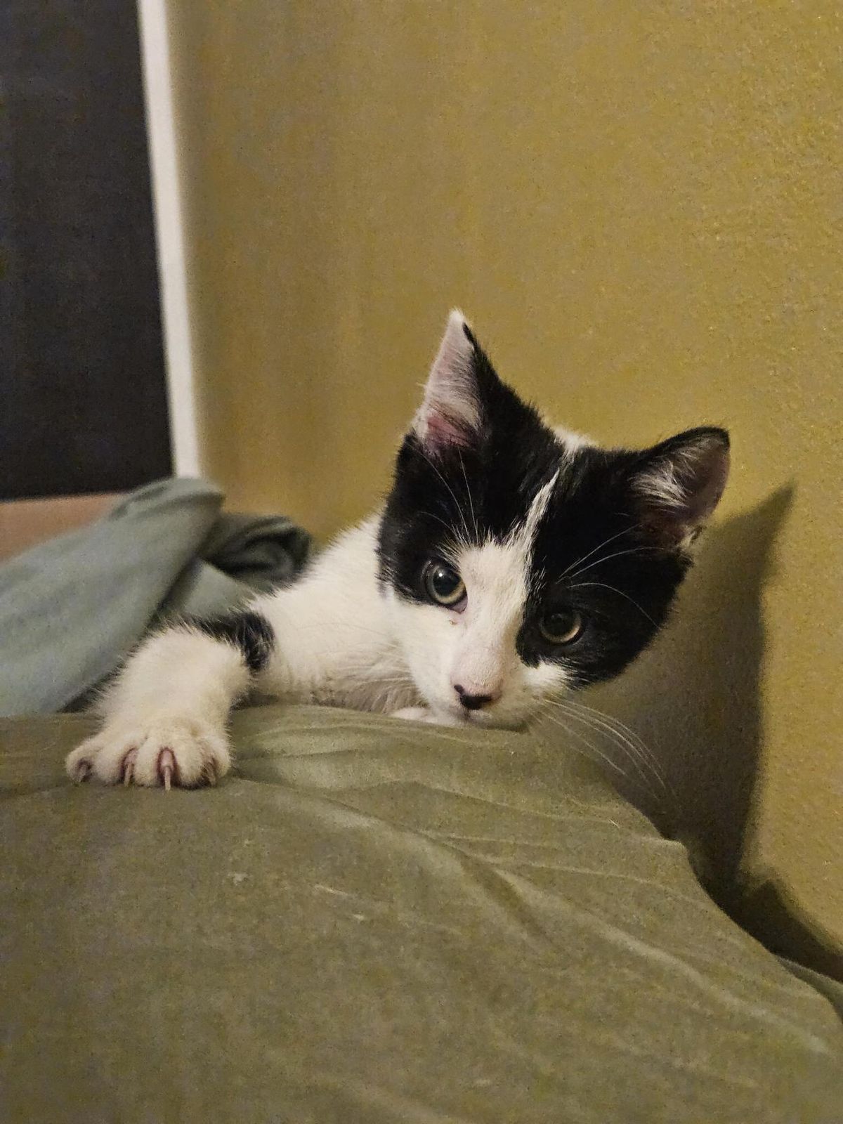 Gallery image: Bessie