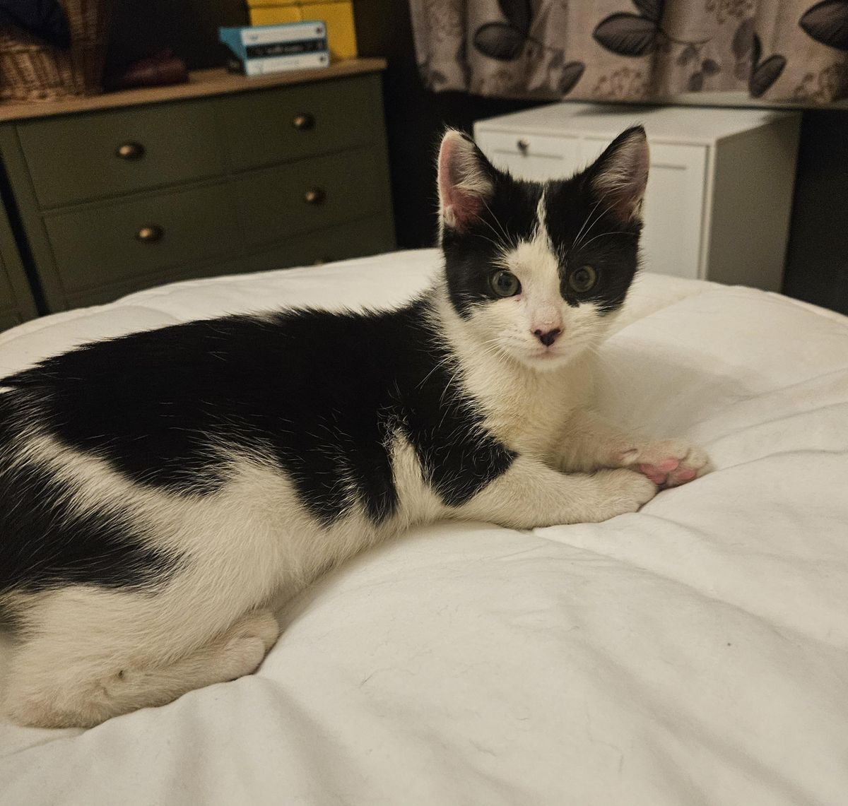 Gallery image: Bessie