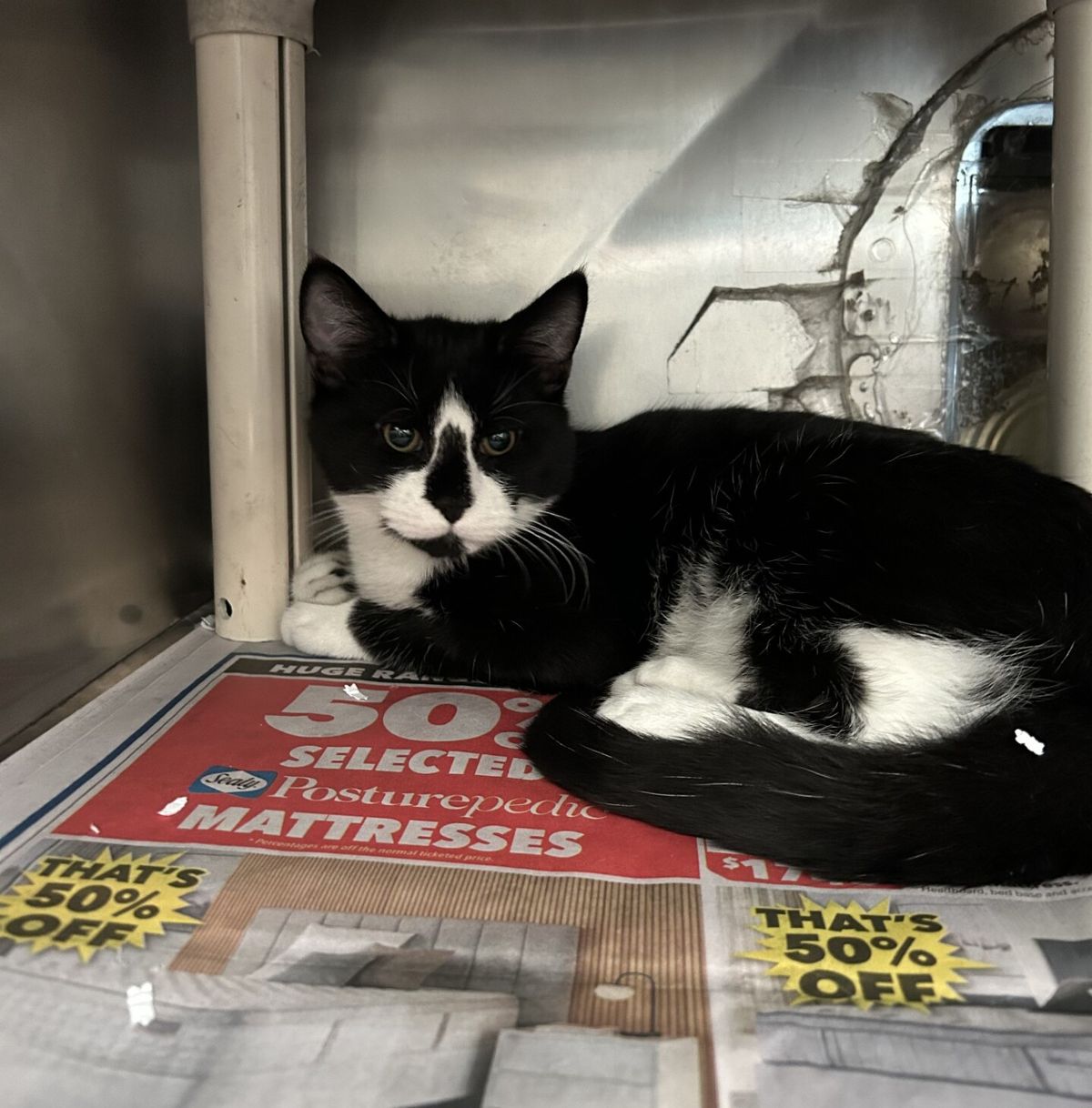 Gallery image: Micah