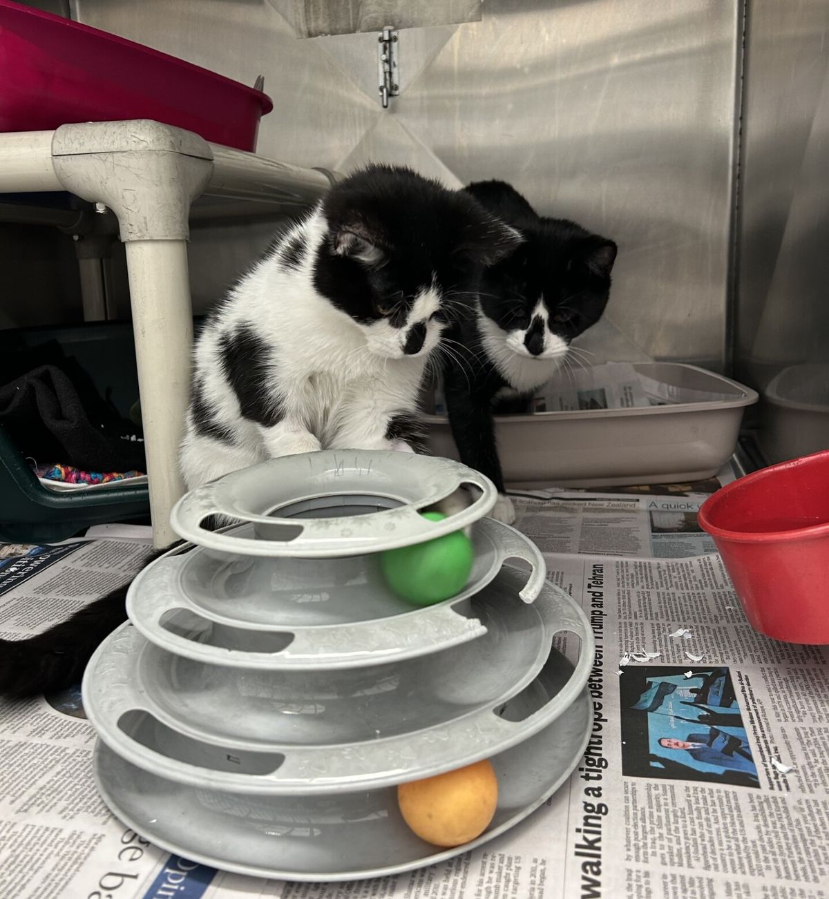 Gallery image: Micah