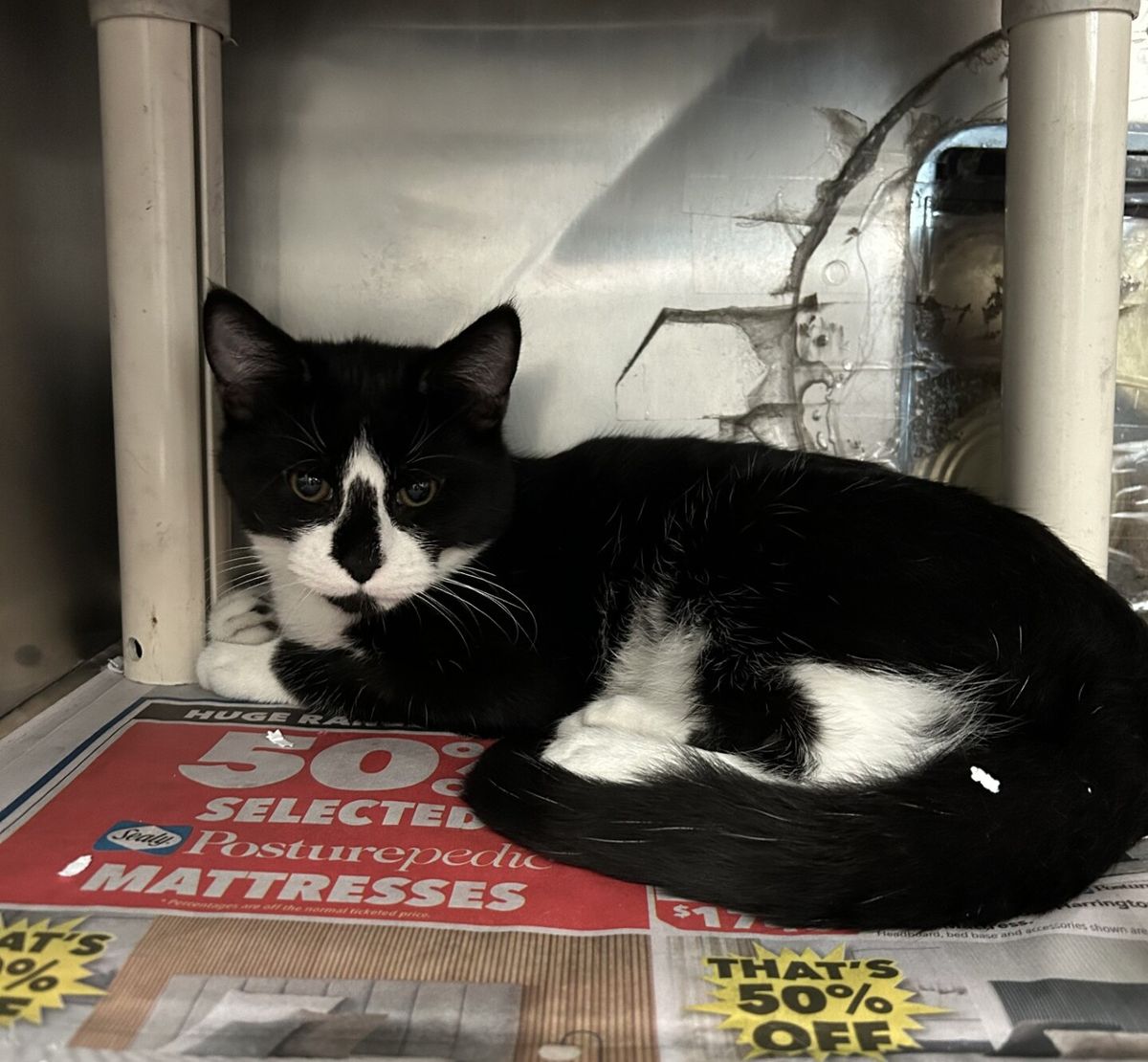 Gallery image: Micah