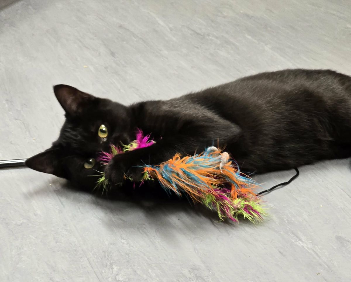 Gallery image: Jimmy