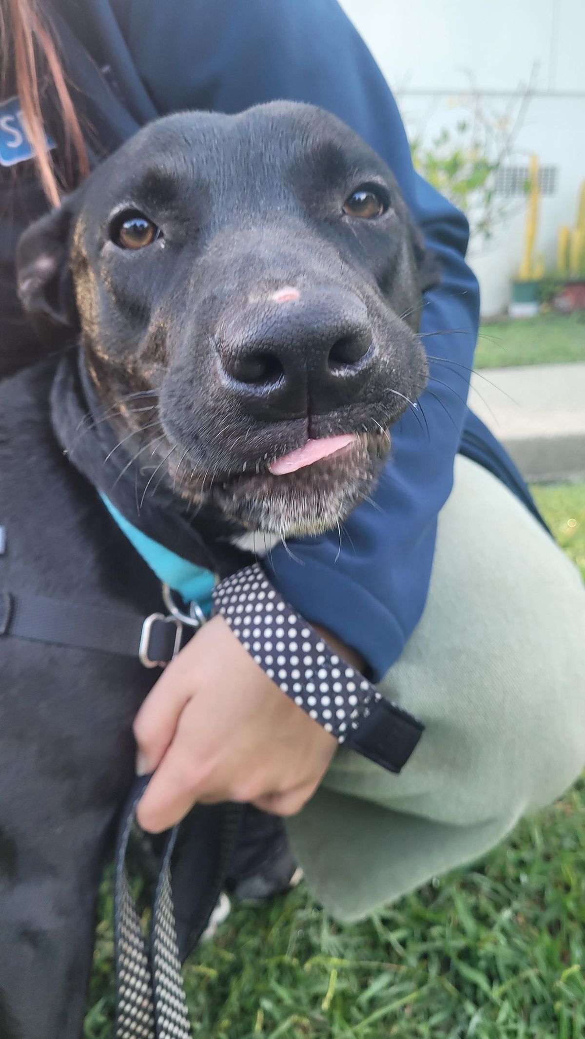 Gallery image: Bentley