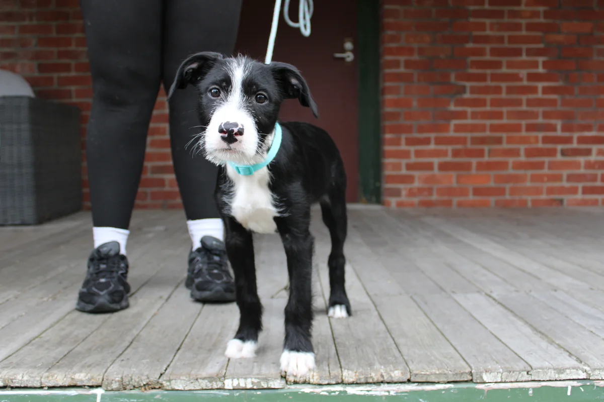 Gallery image: Marceline