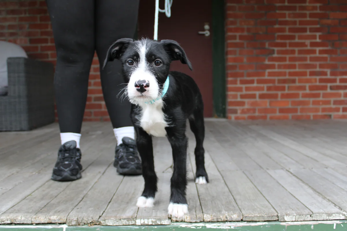 Gallery image: Marceline