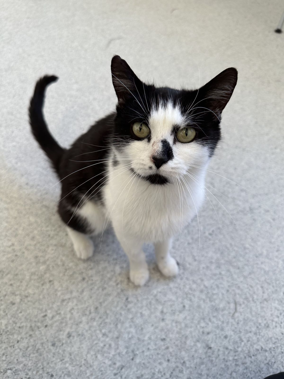 Gallery image: Bubbles