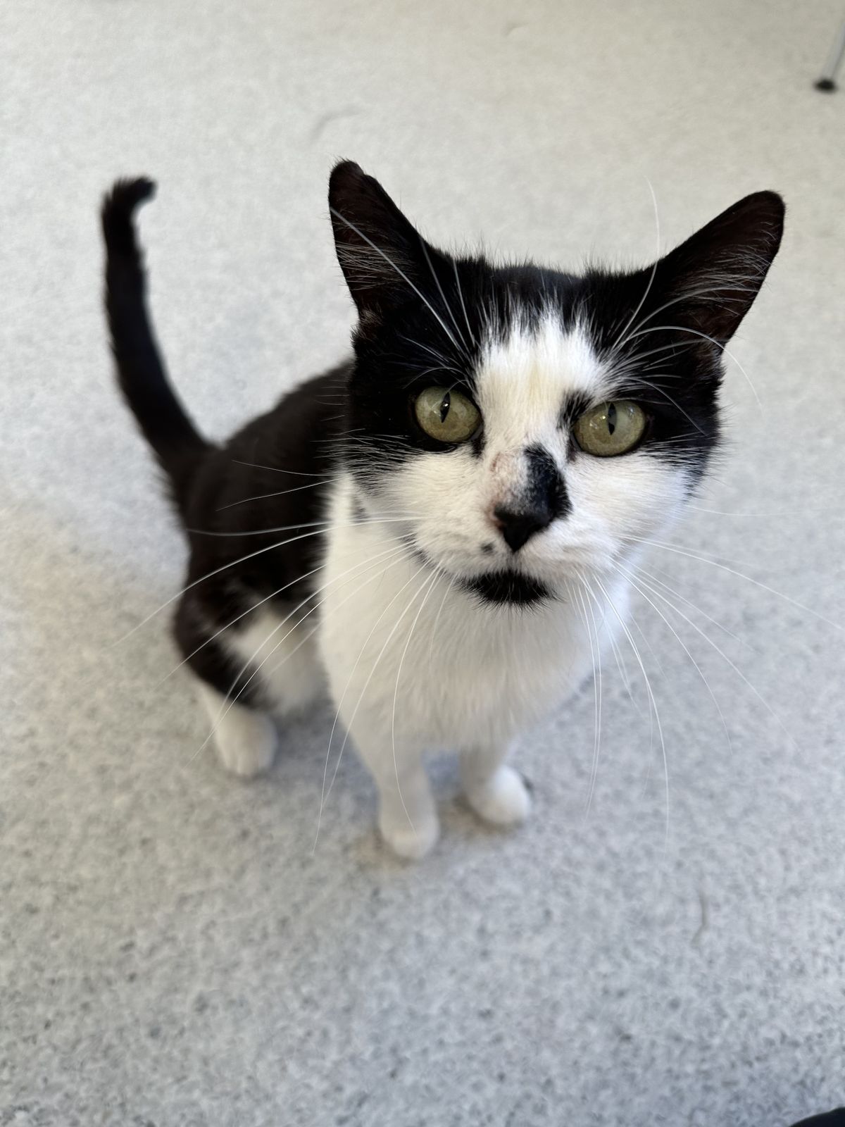 Gallery image: Bubbles