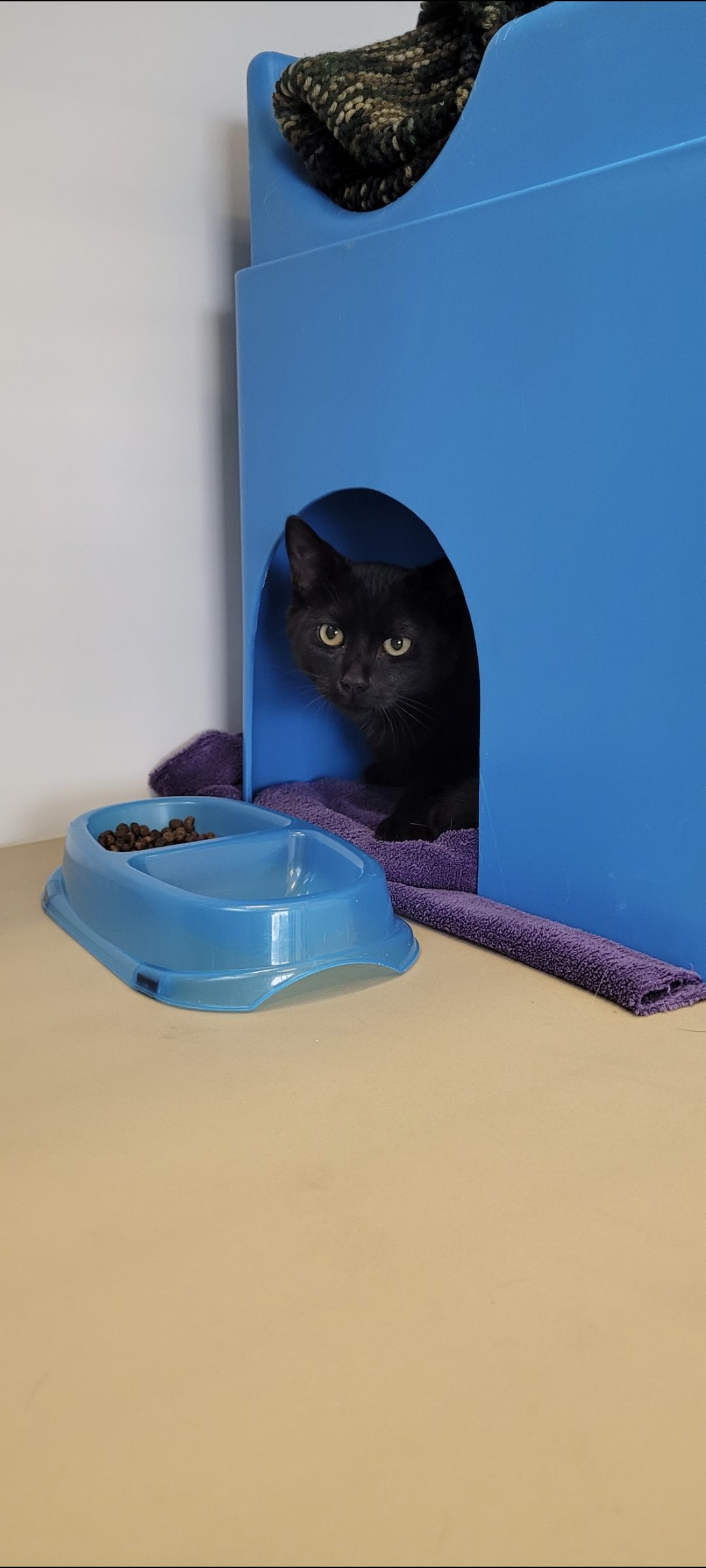 Gallery image: Clyde