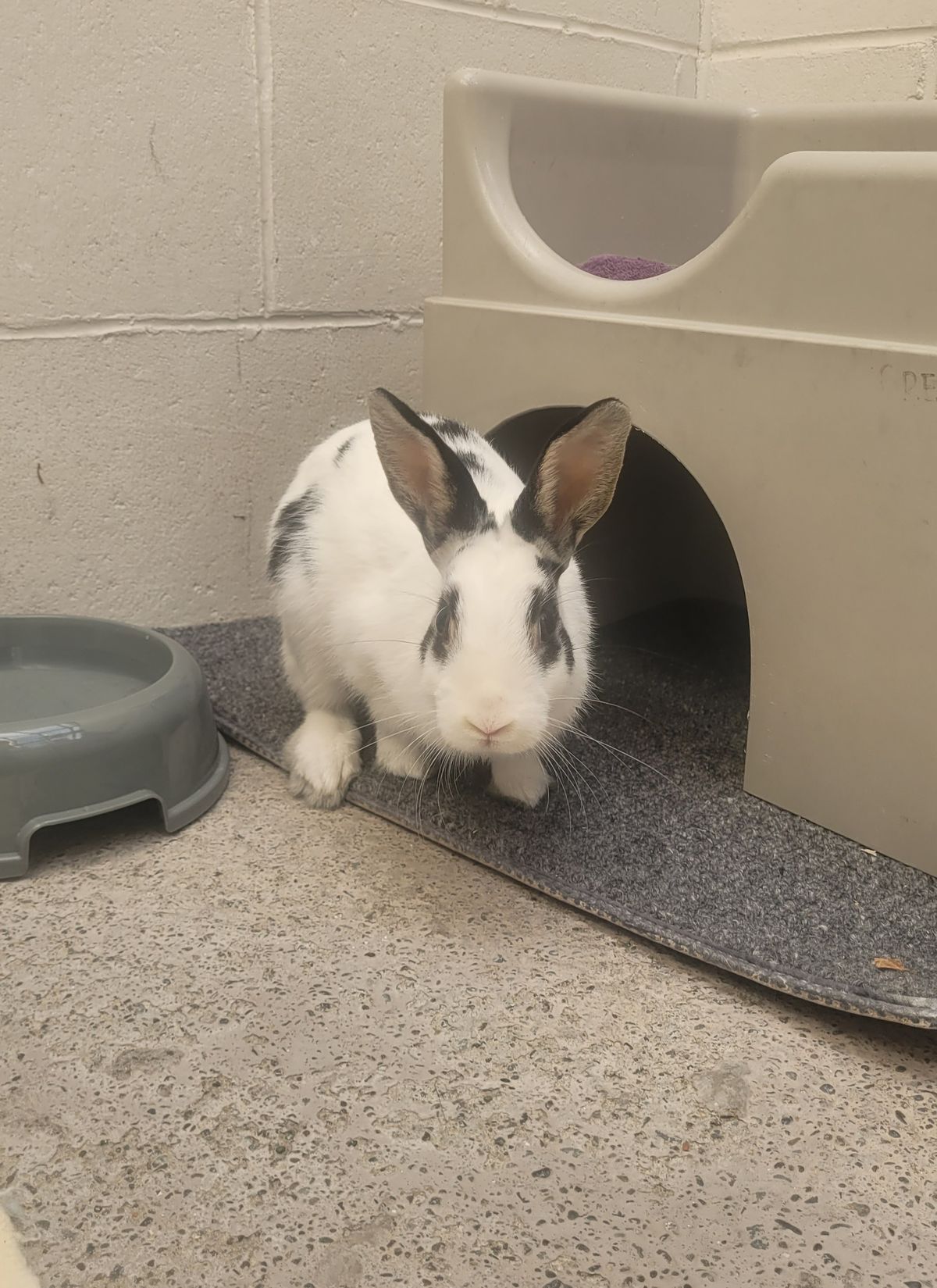 Gallery image: Blake