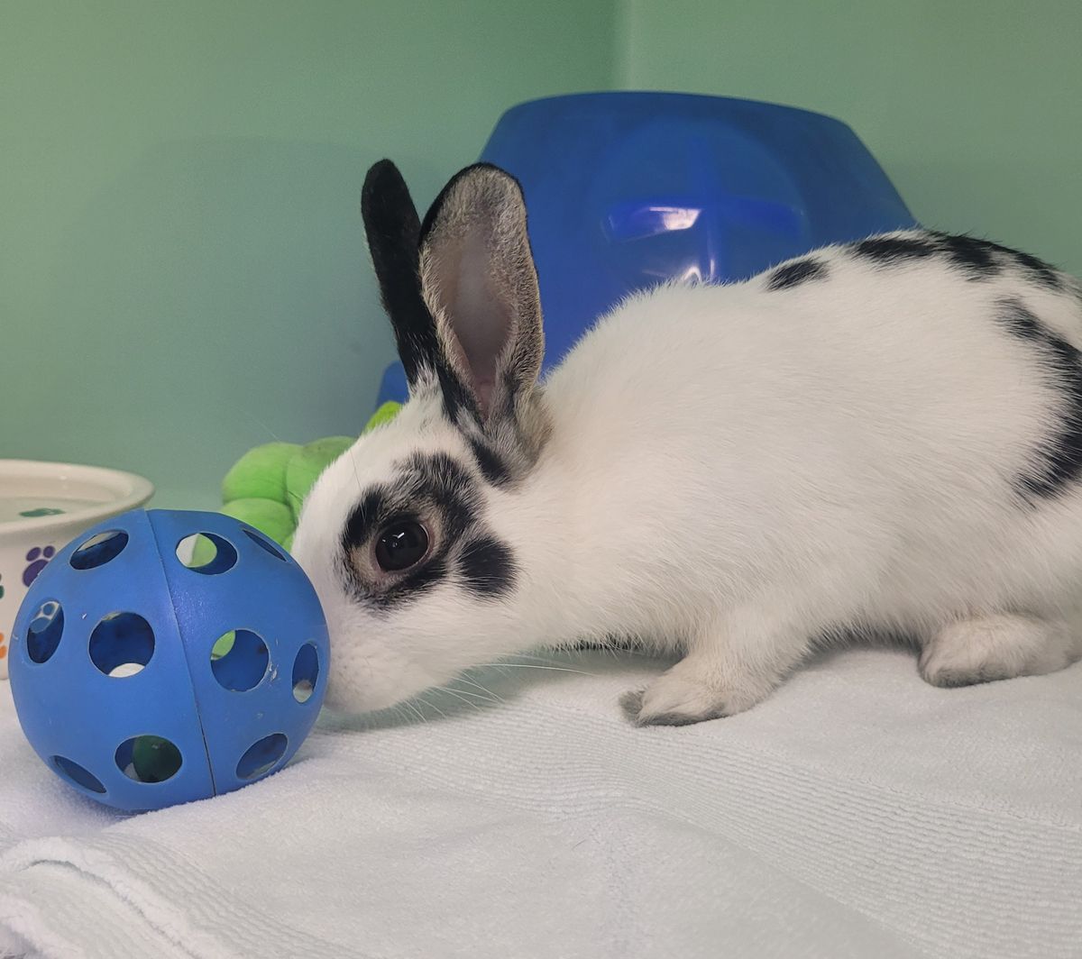 Gallery image: Blake