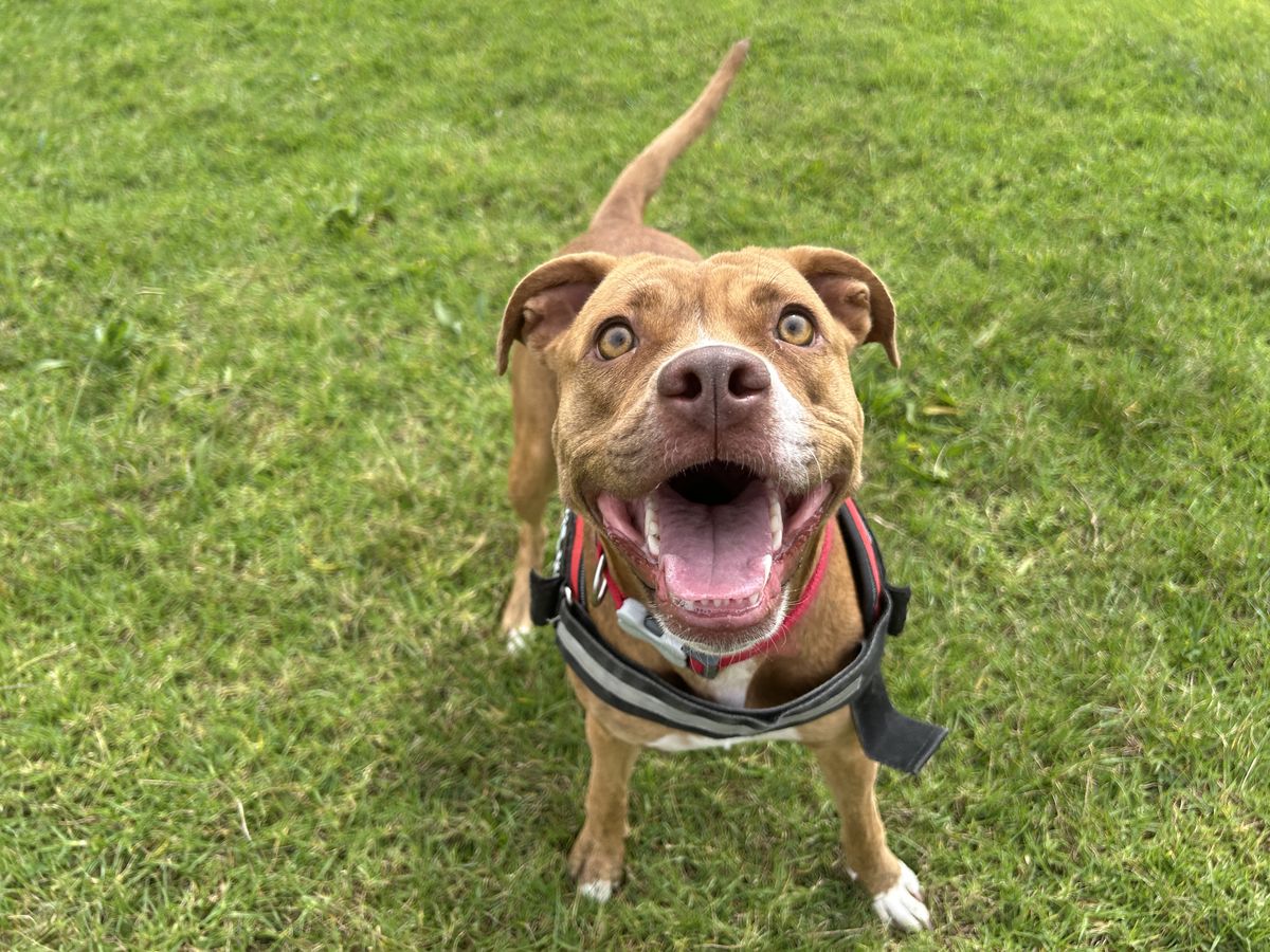 Gallery image: Annie