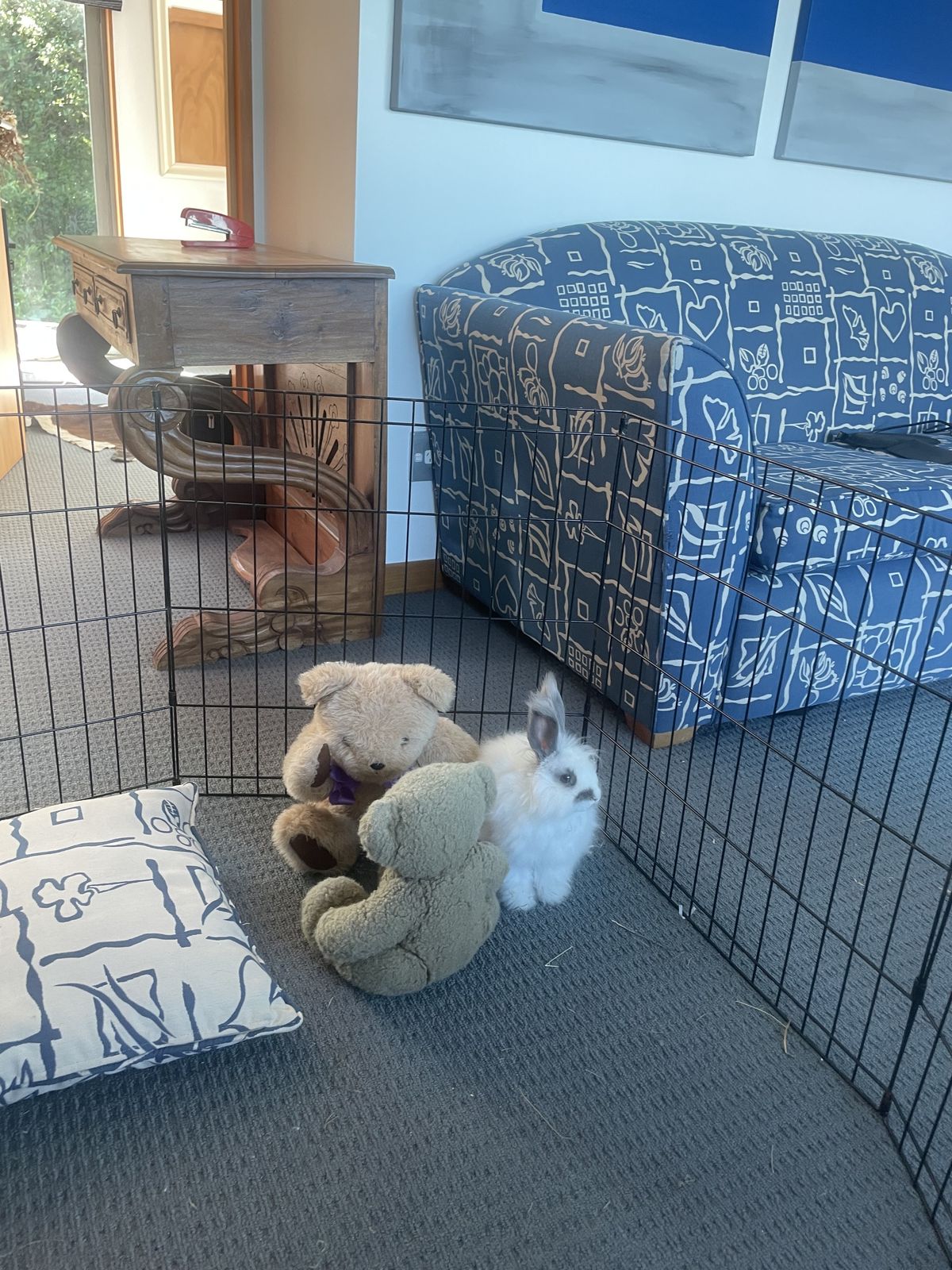 Gallery image: Fergus 