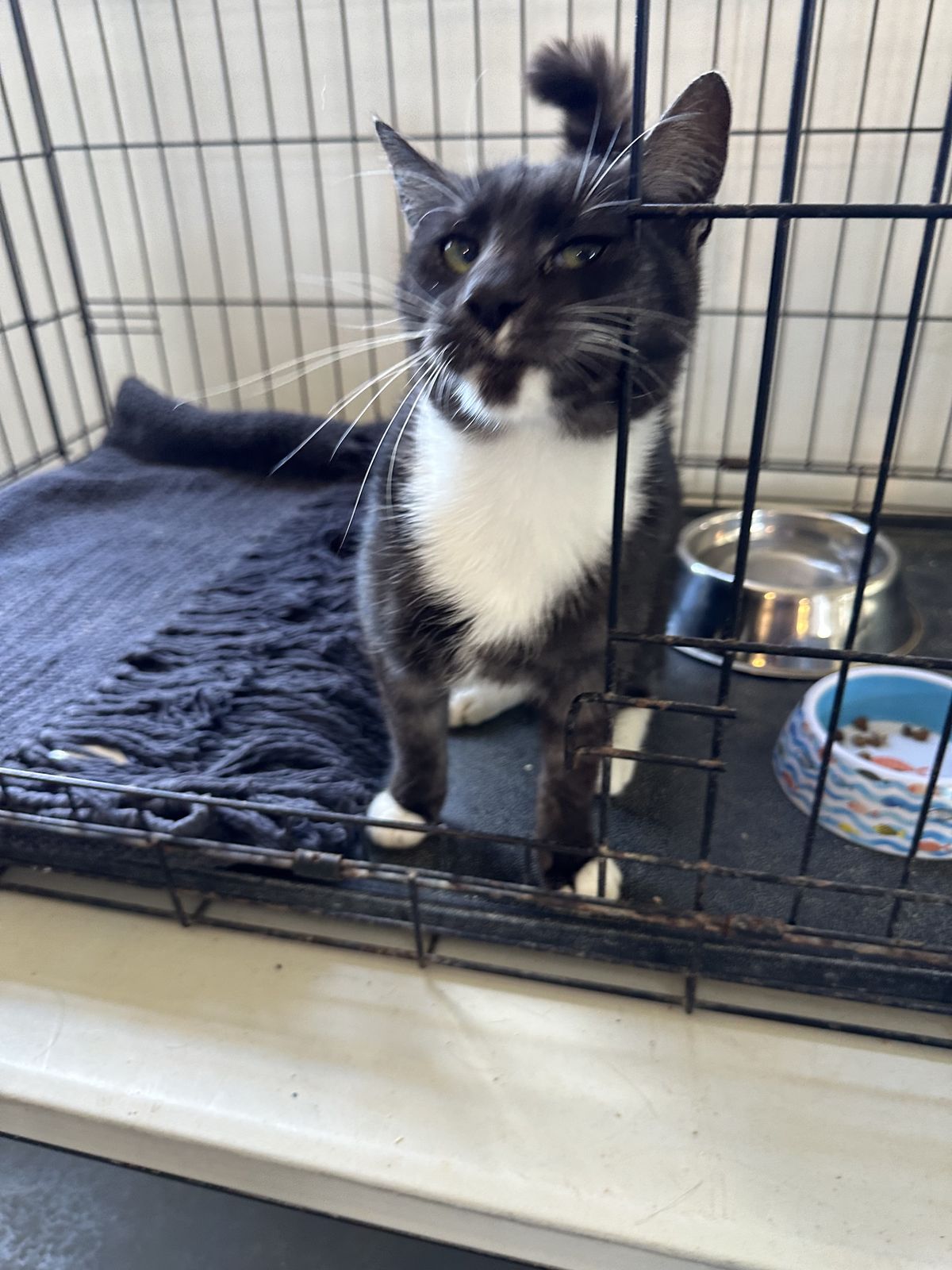 Gallery image: Peeny Weeny