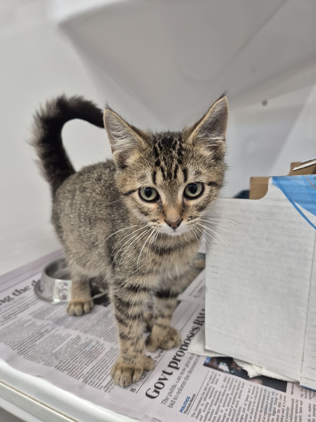 Gallery image: Cruze