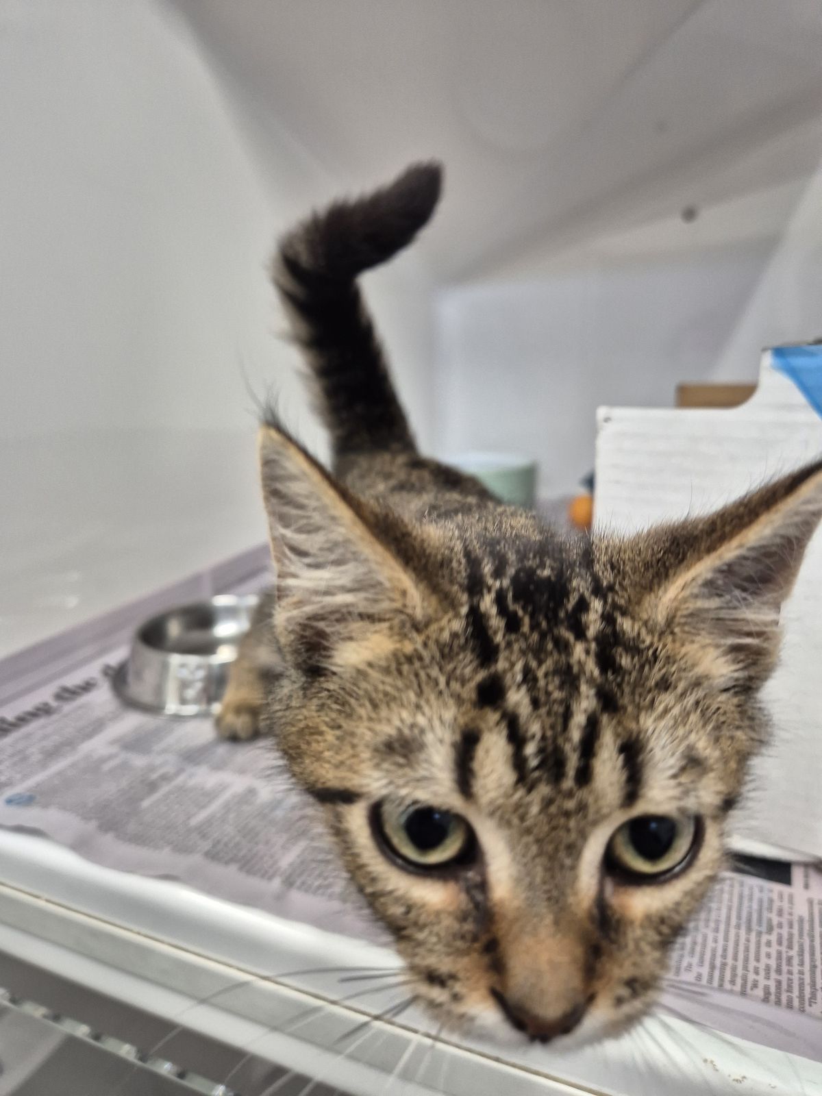 Gallery image: Cruze