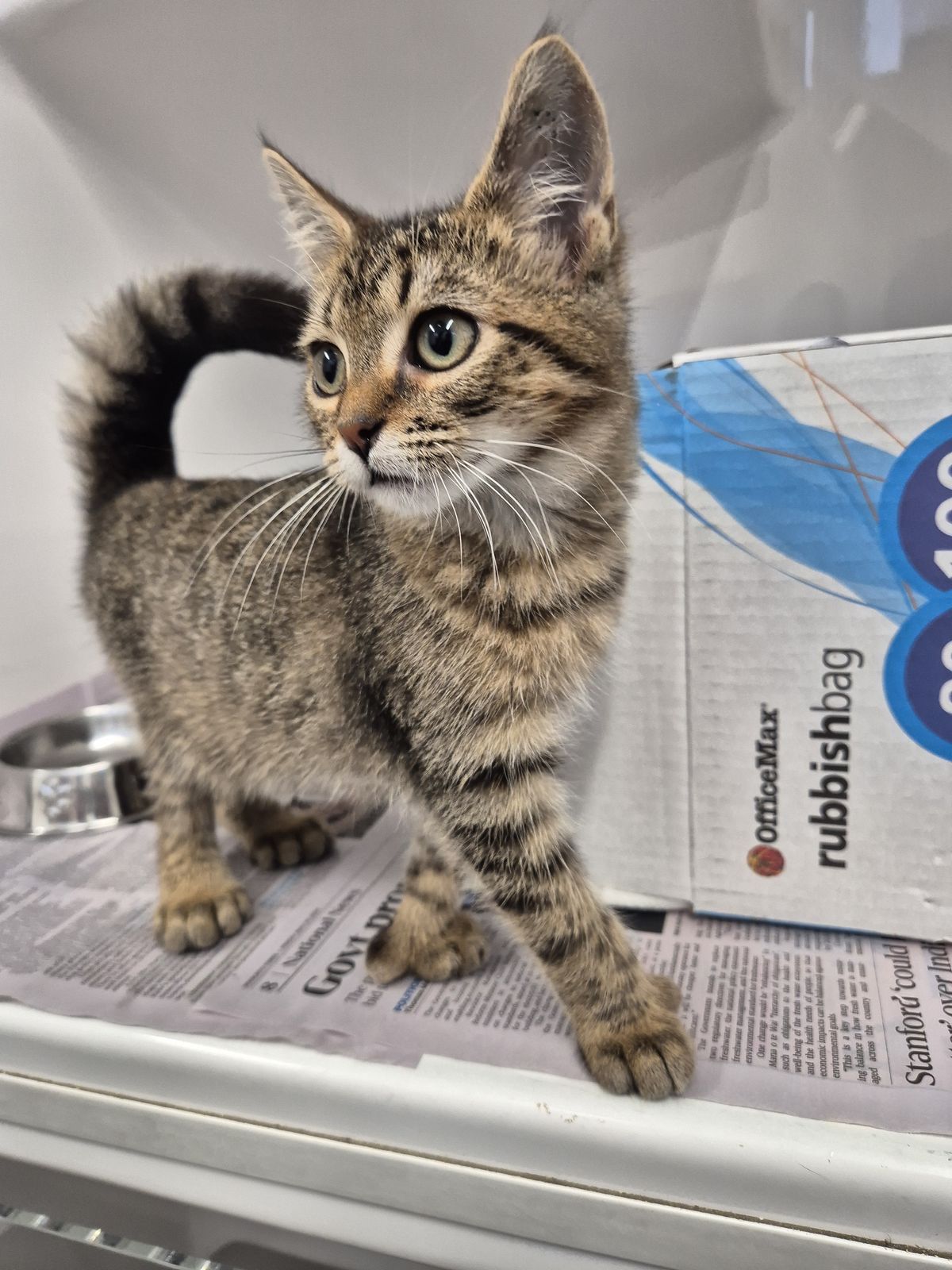 Gallery image: Cruze