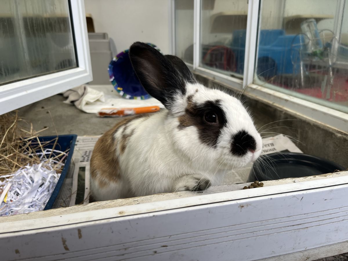 Gallery image: Jonas