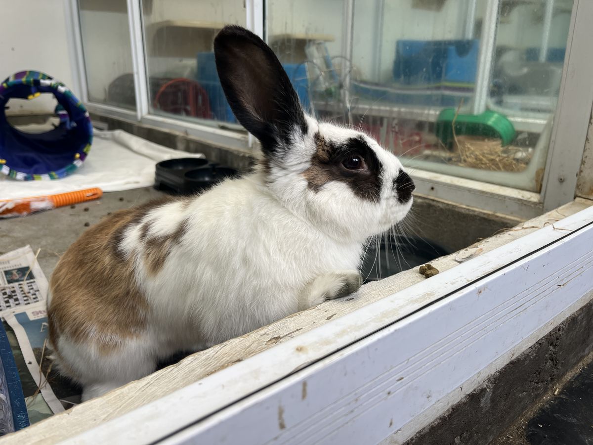 Gallery image: Jonas