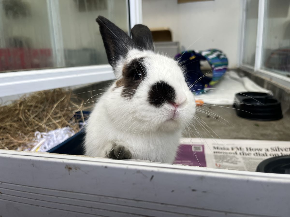 Gallery image: Jonas