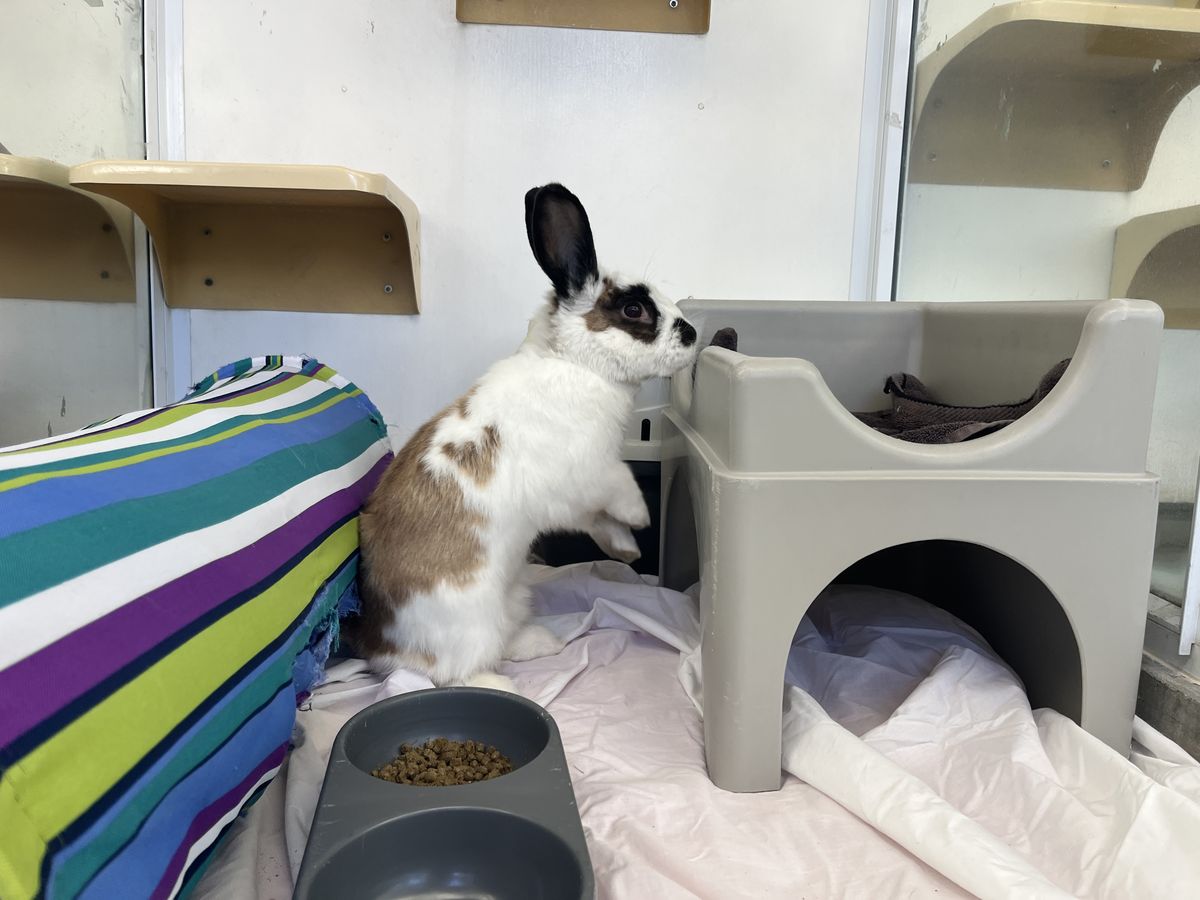 Gallery image: Jonas