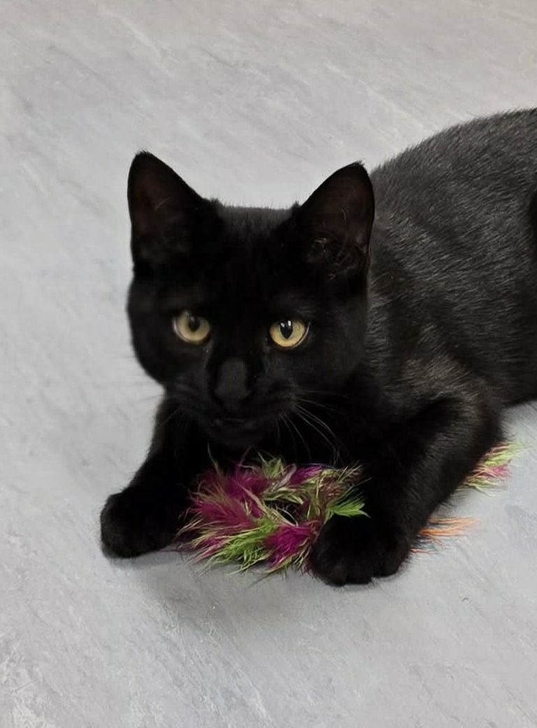 Gallery image: Jimmy