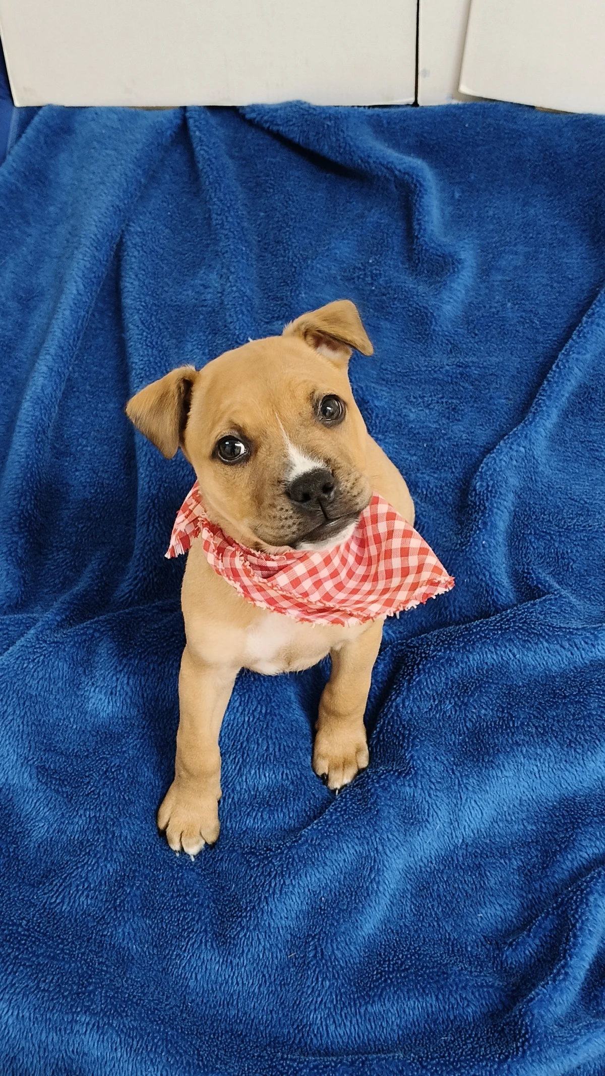 Gallery image: Zosia