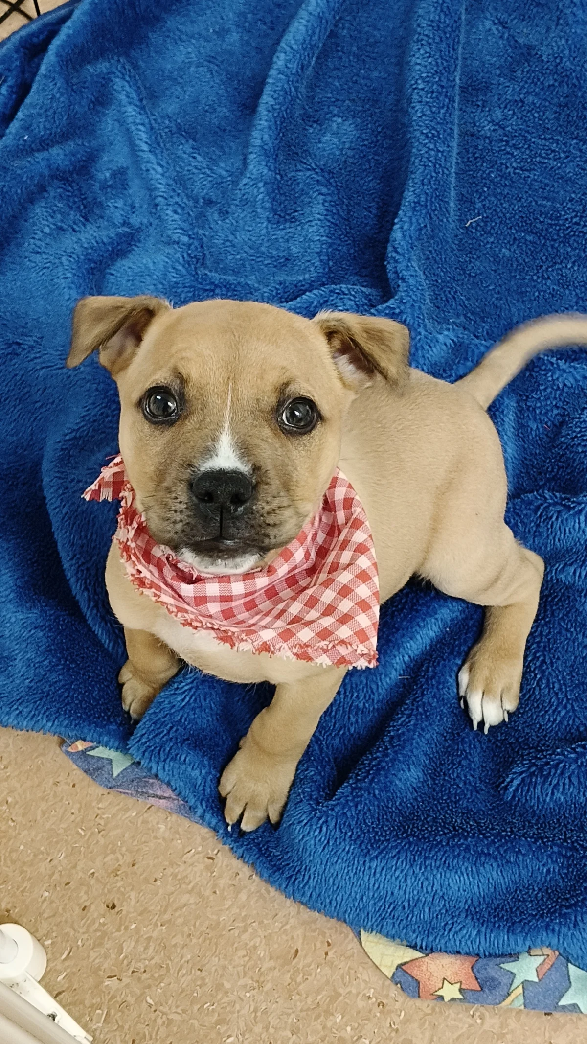 Gallery image: Zosia