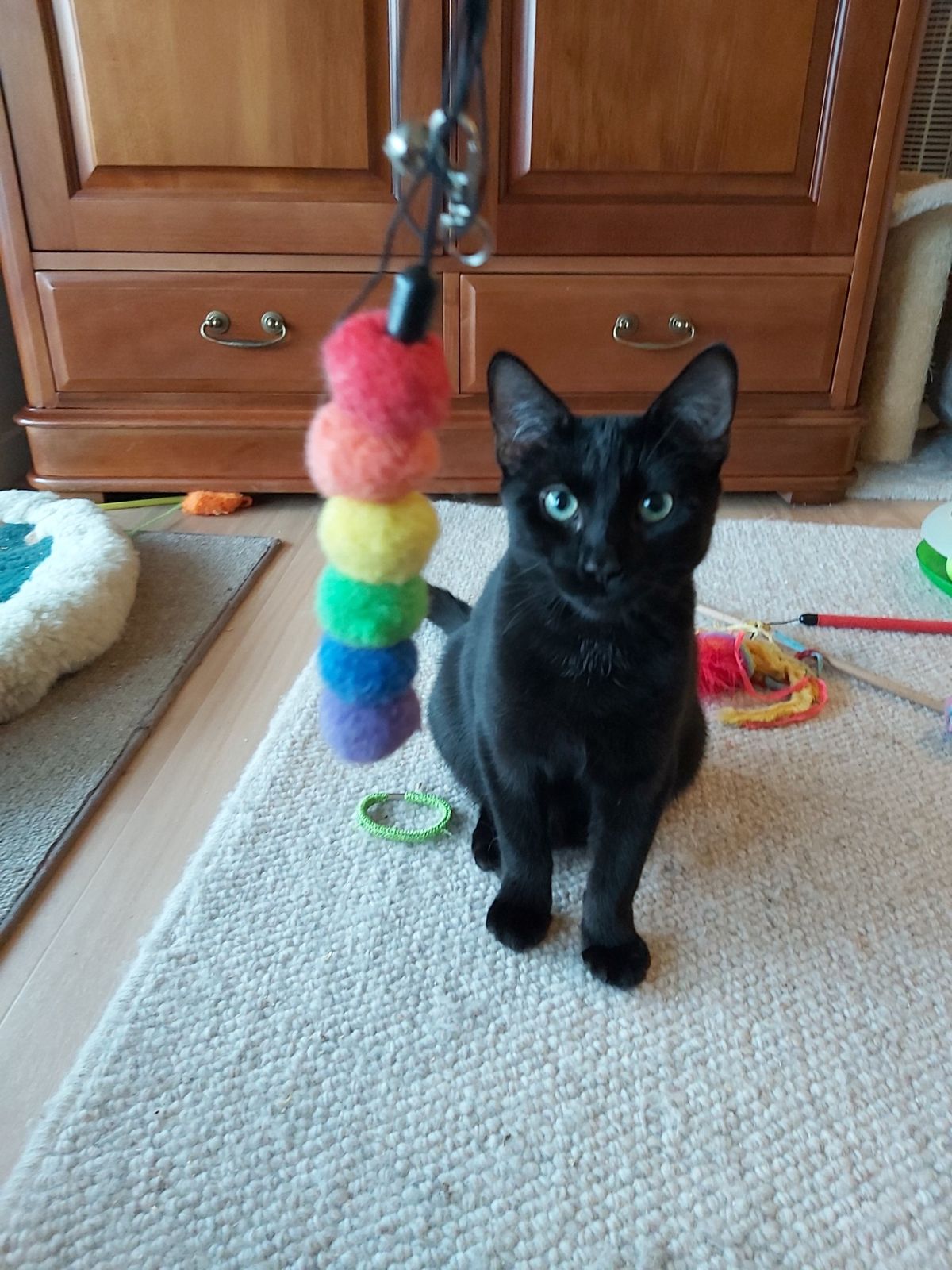 Gallery image: Literata