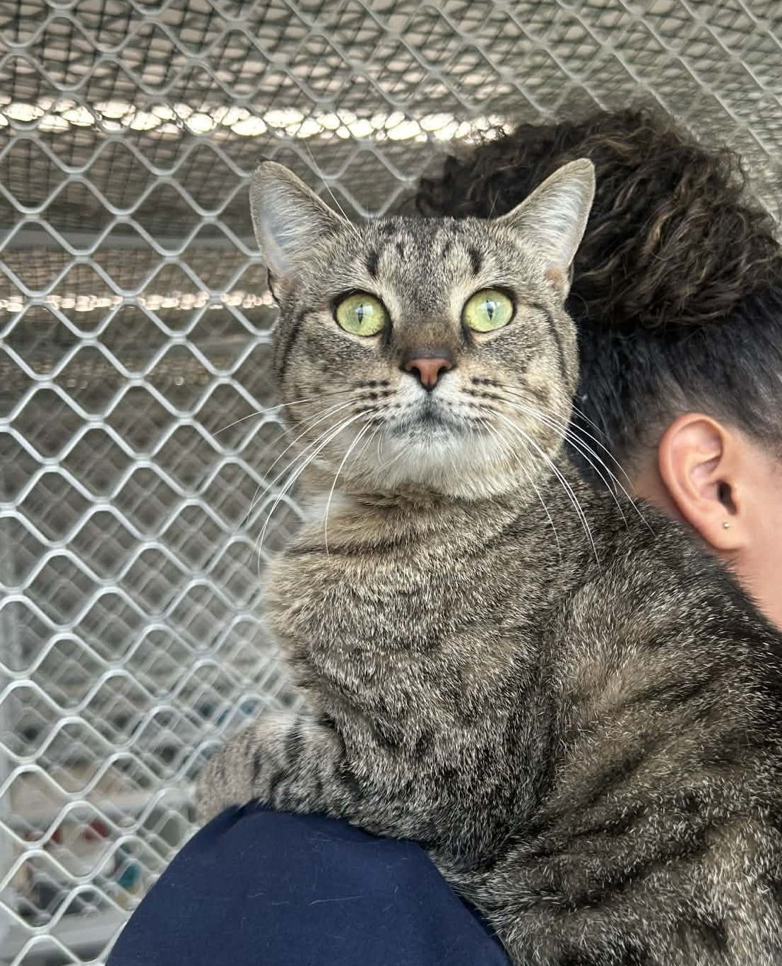 Gallery image: Hudson