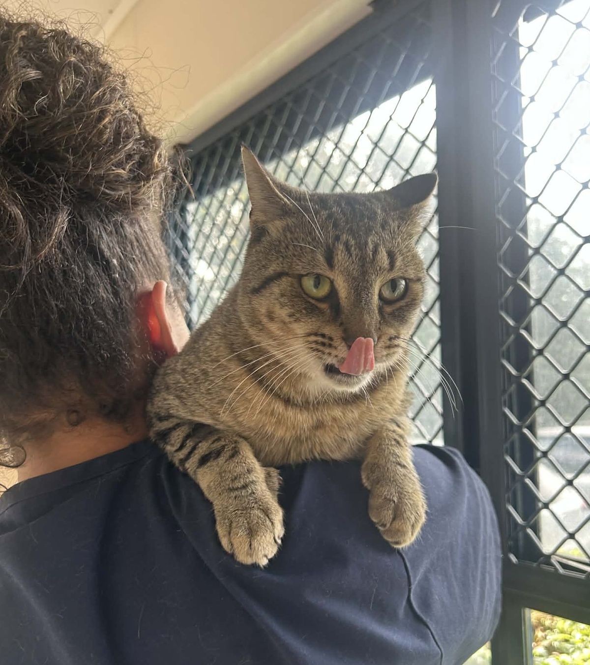 Gallery image: Hudson