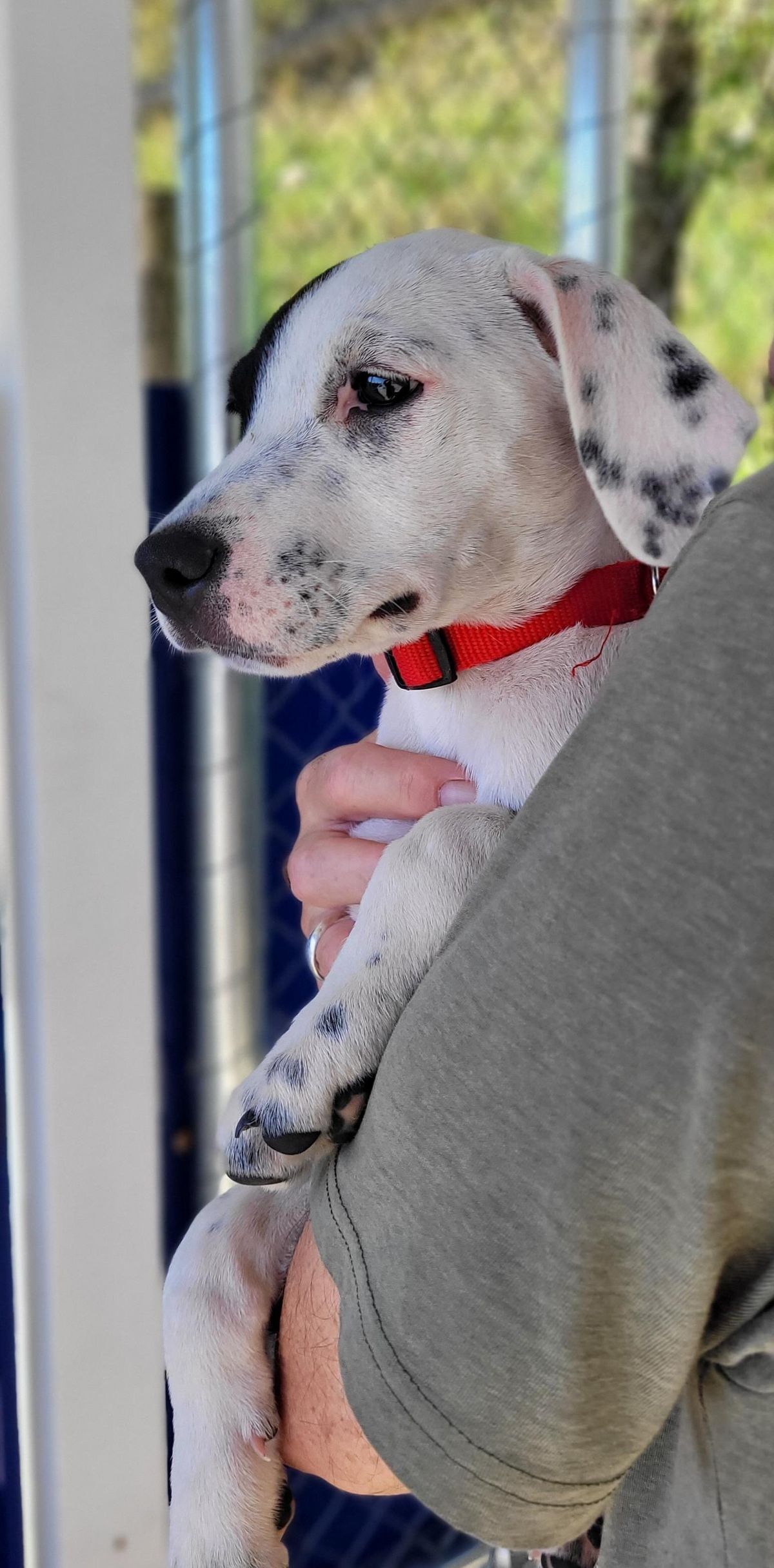 Gallery image: Pensacola