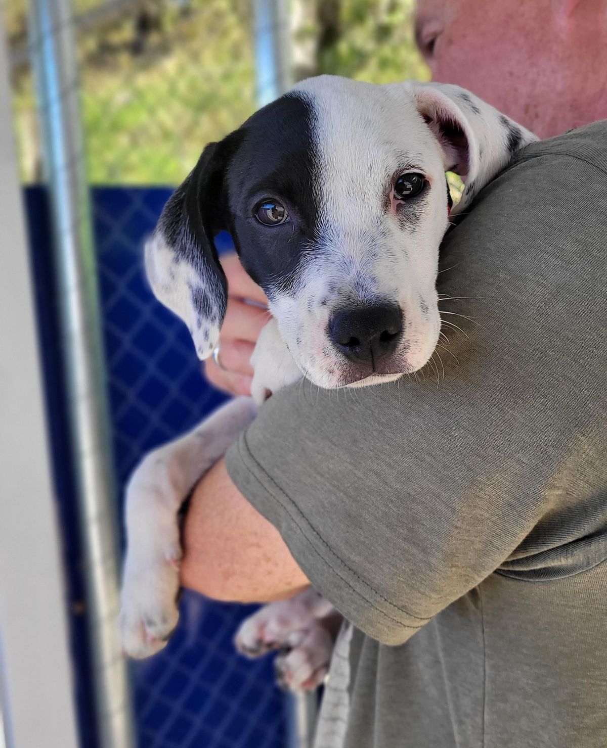 Gallery image: Pensacola