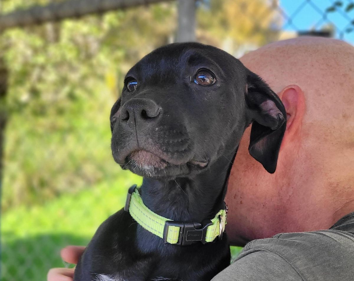 Gallery image: Tulsa