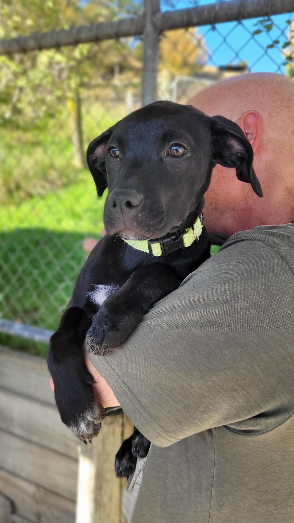 Gallery image: Tulsa