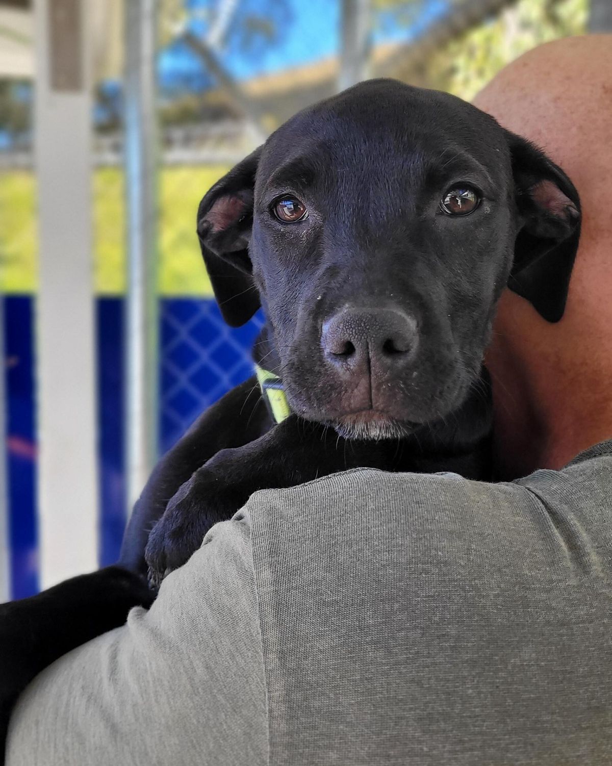 Gallery image: Tulsa