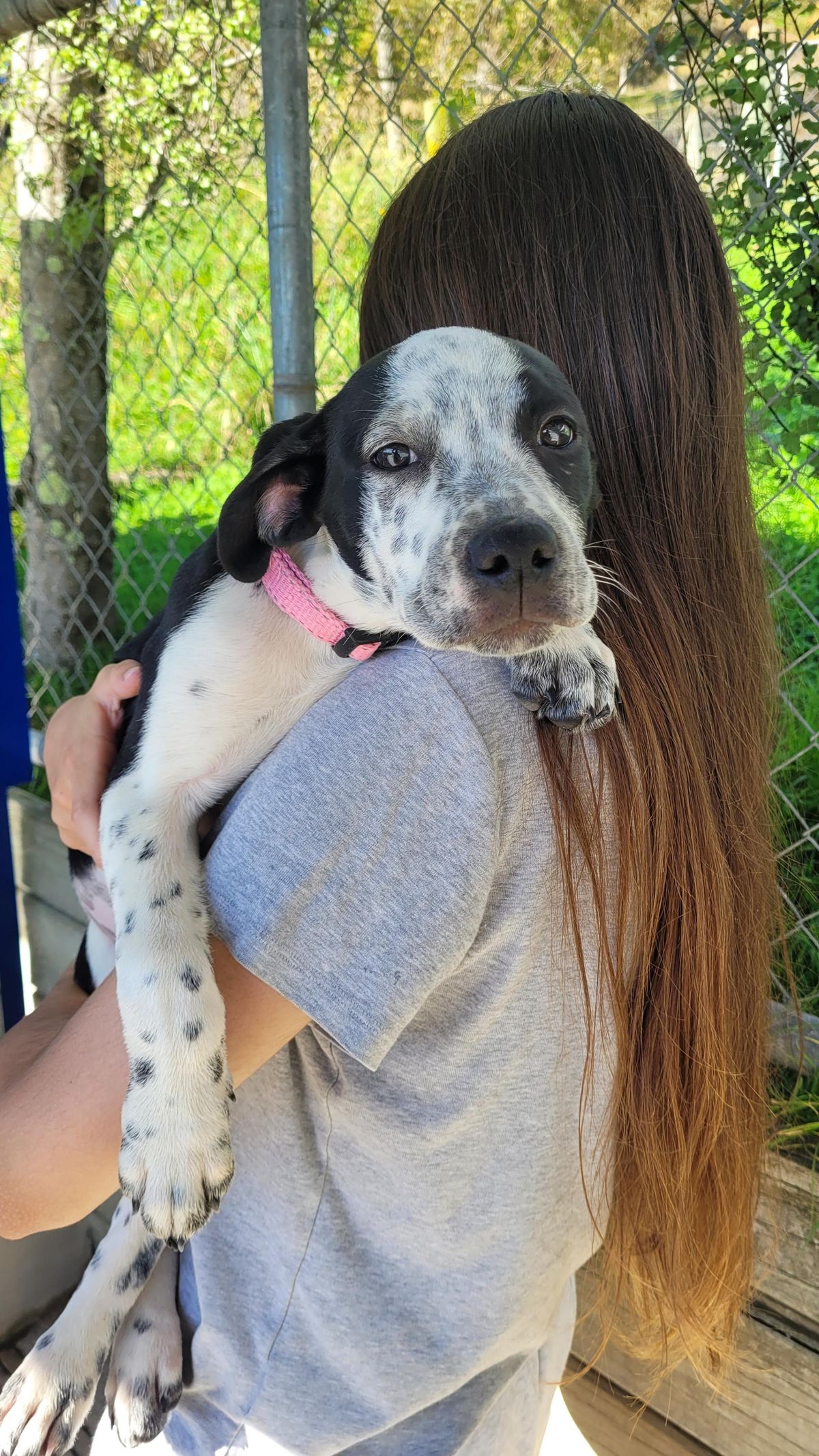 Gallery image: Augusta