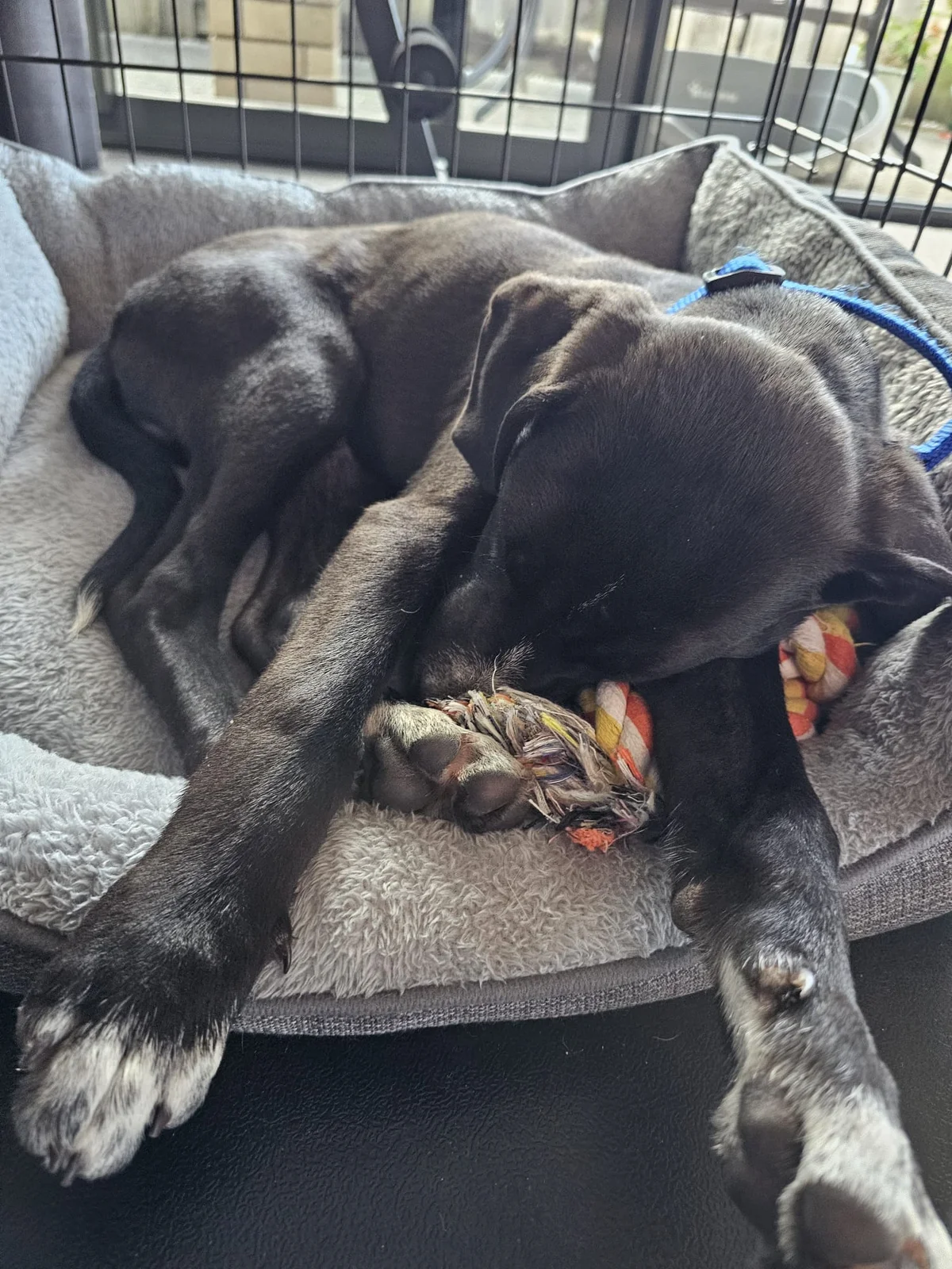 Gallery image: Orlando