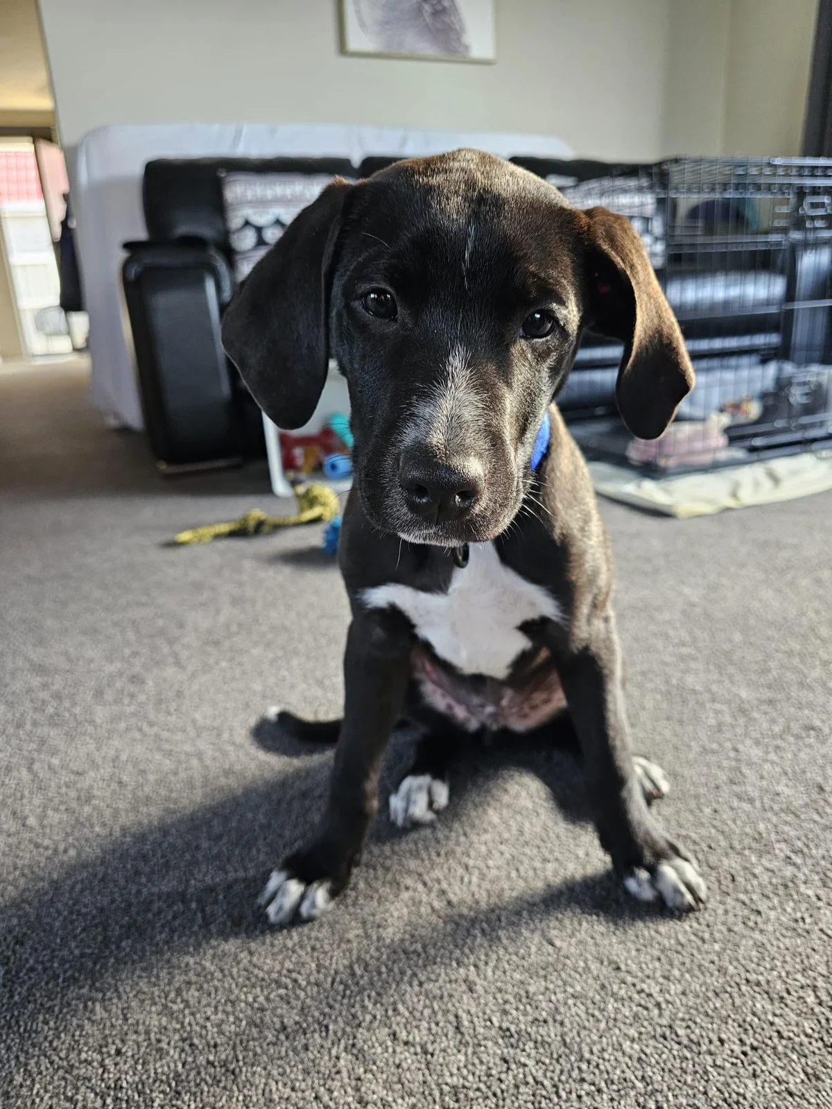 Gallery image: Orlando