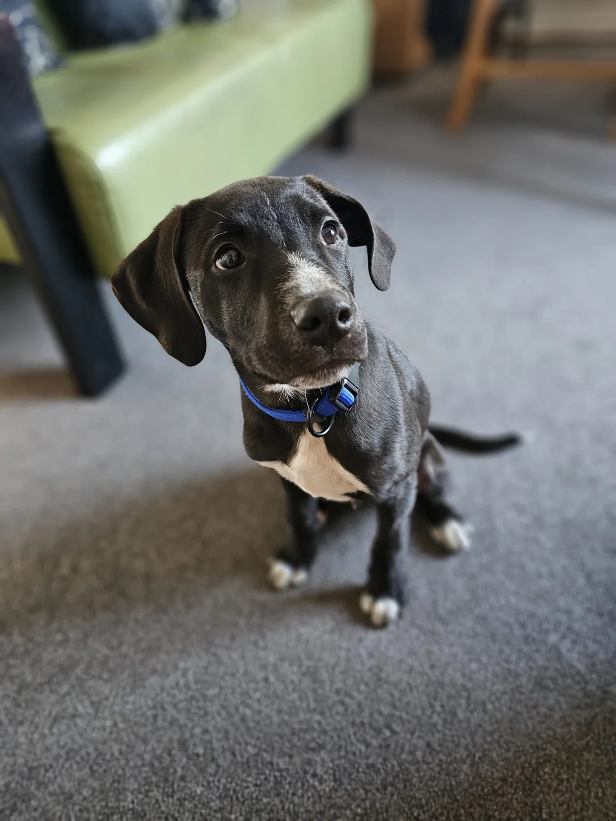 Gallery image: Orlando