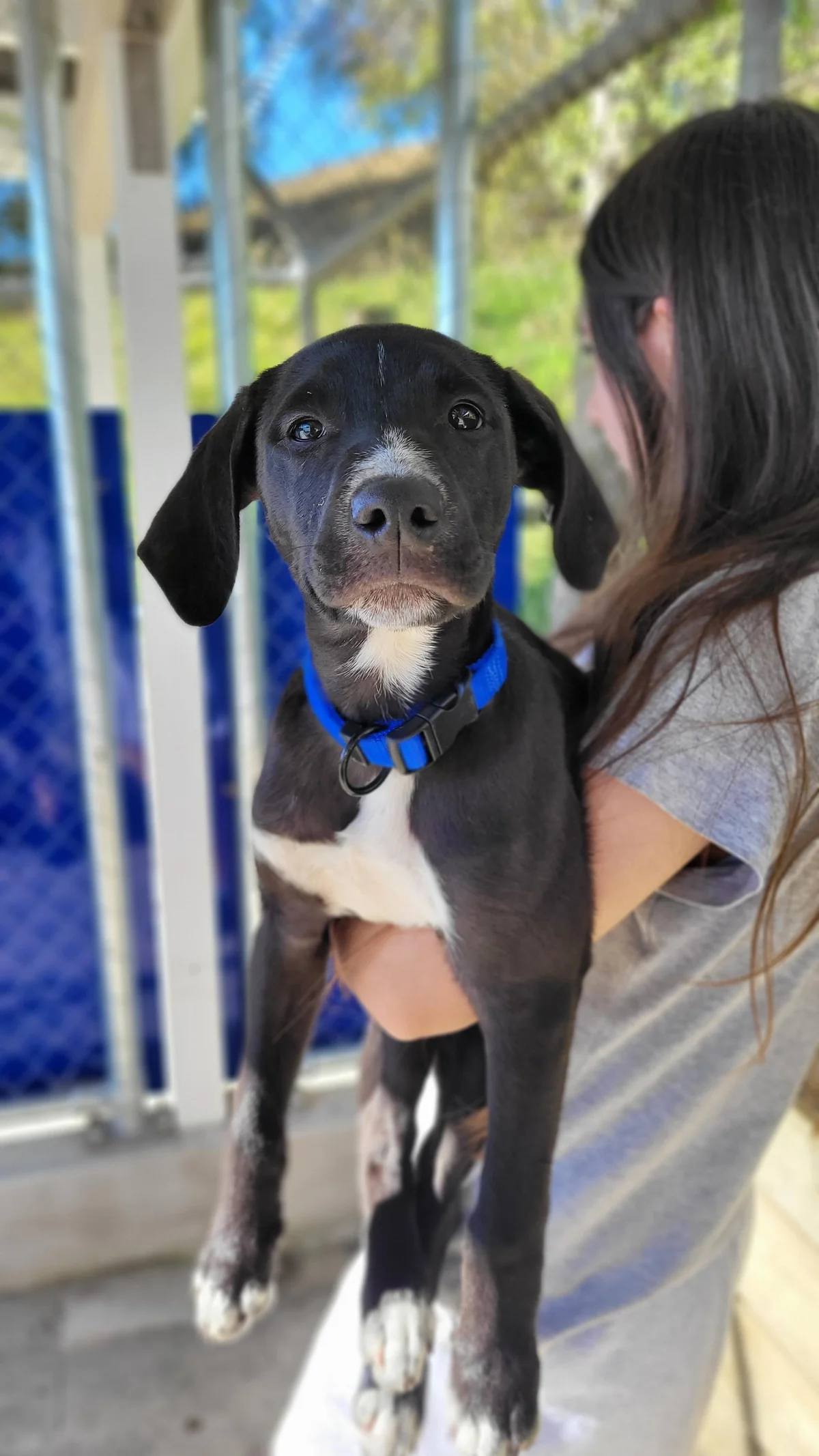 Gallery image: Orlando