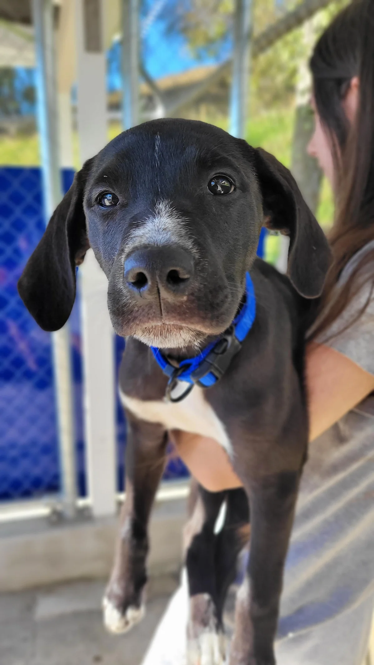 Gallery image: Orlando