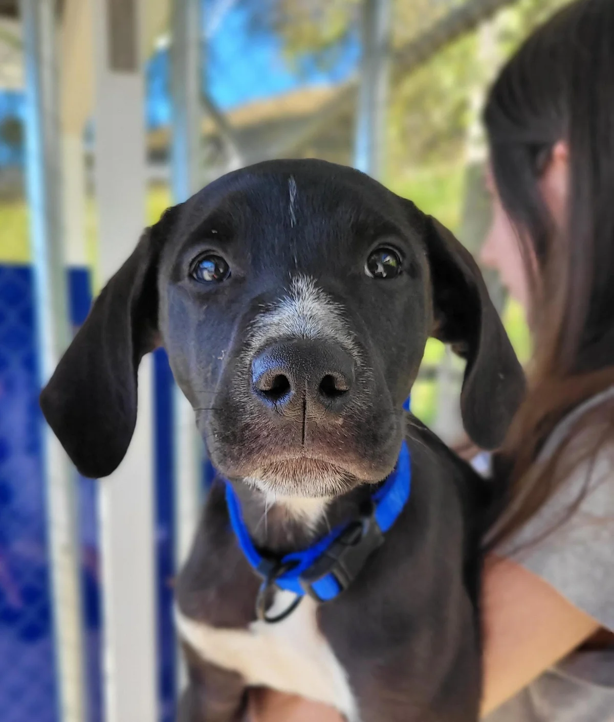 Gallery image: Orlando