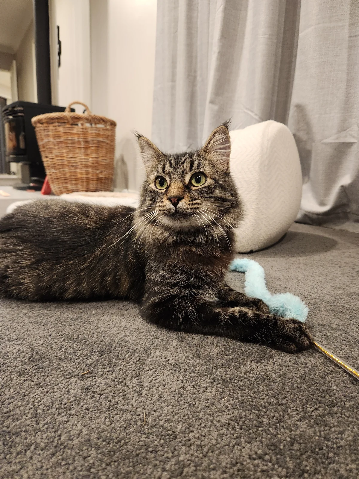 Gallery image: Tigger