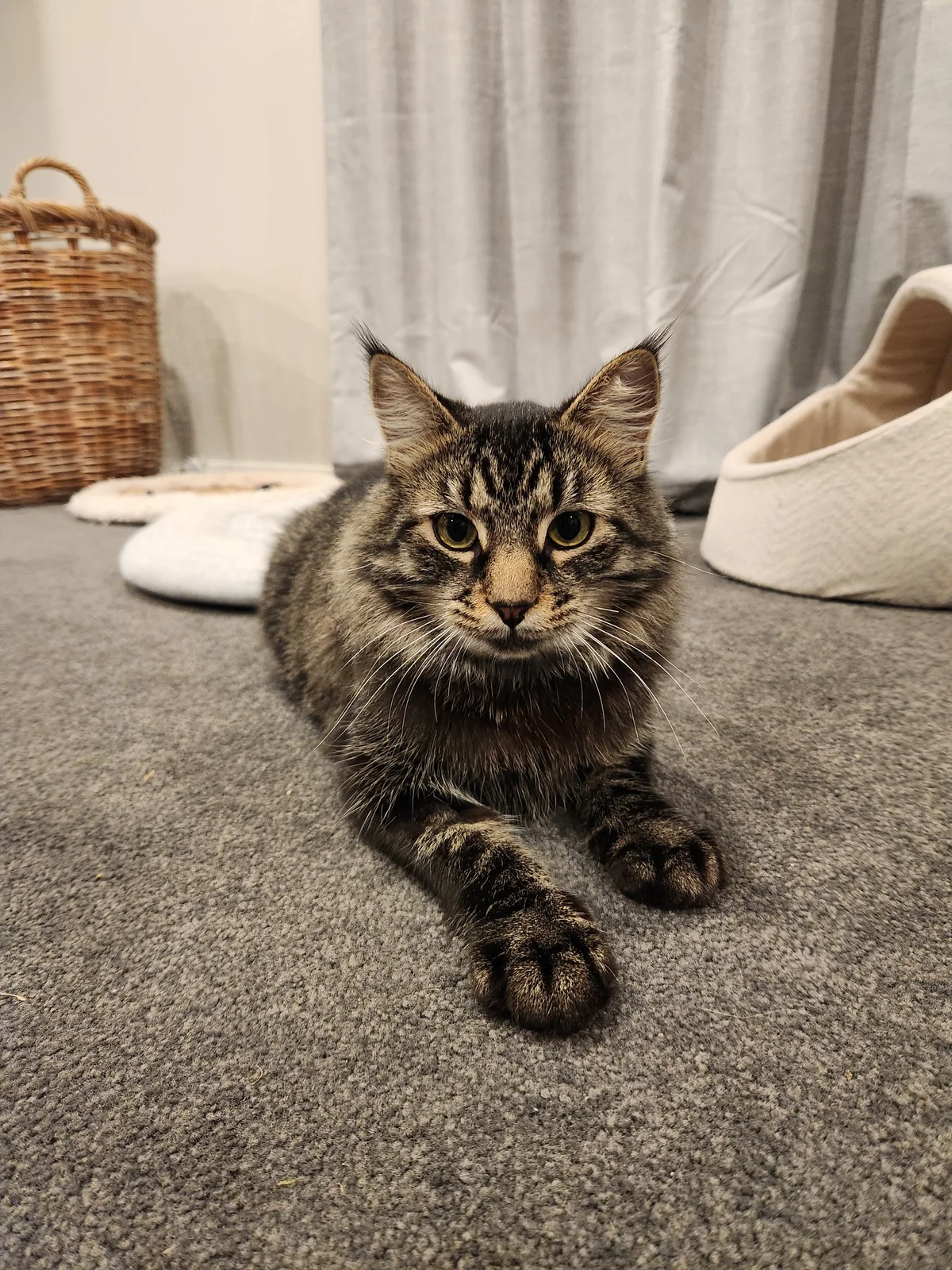 Gallery image: Tigger