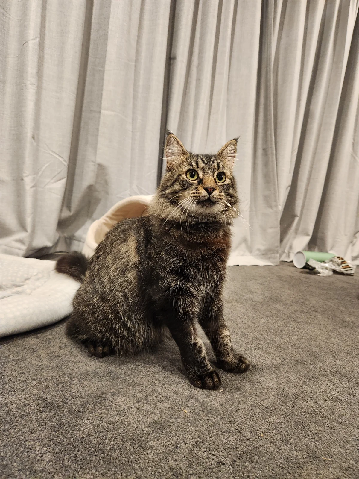 Gallery image: Tigger