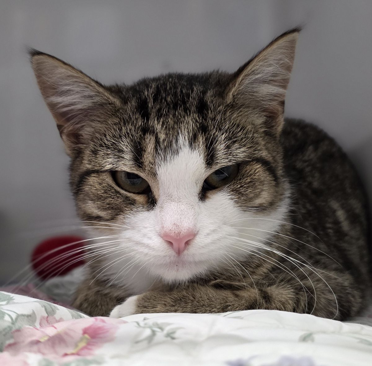 Gallery image: Eggsy