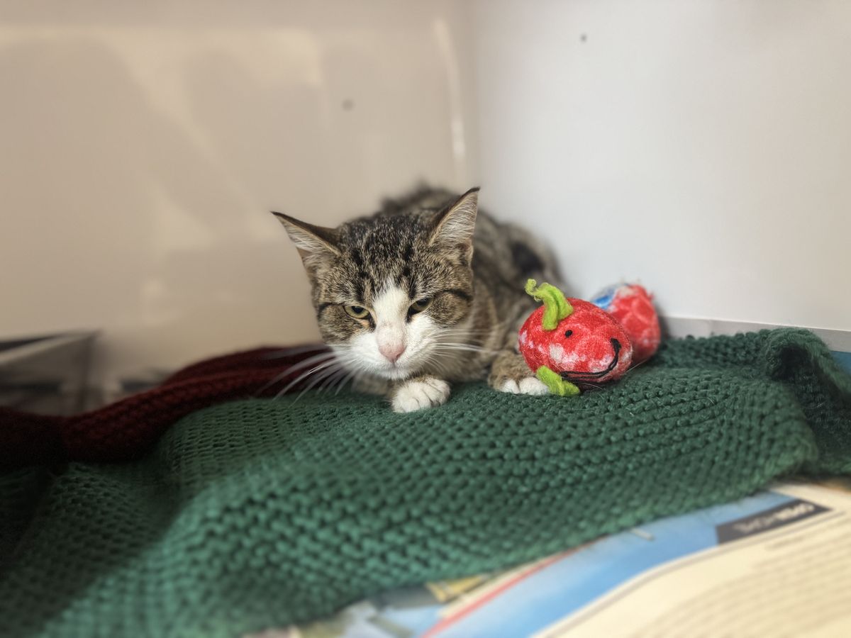 Gallery image: Eggsy