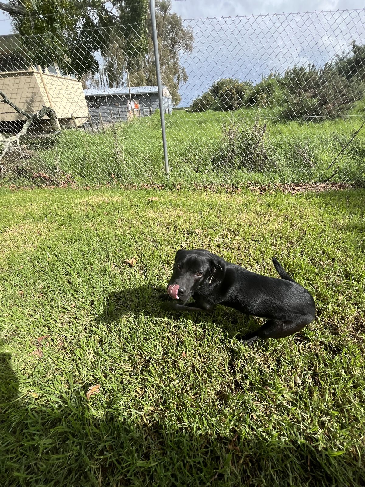 Gallery image: Raine